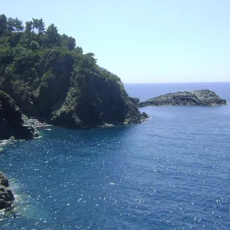 Augusta Фрамура